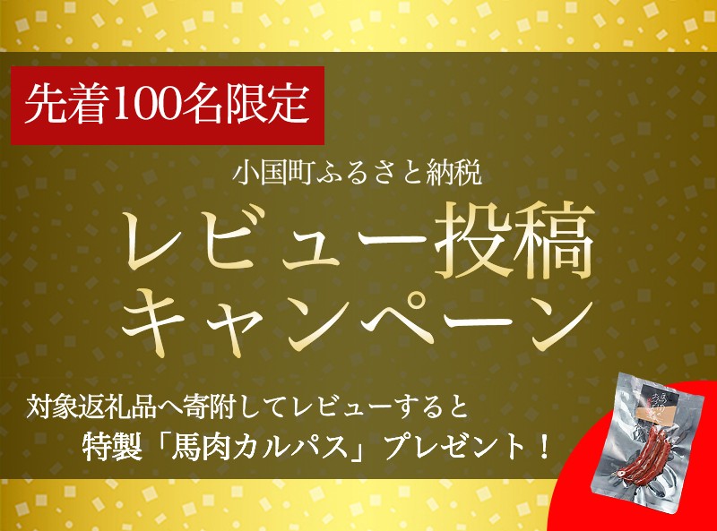 先着100名様！返礼品レビューキャンペーン開催中♪
