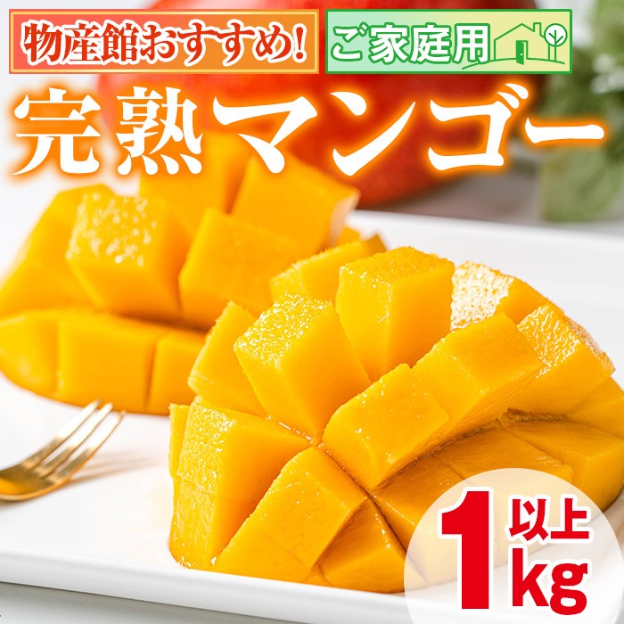 〈スポット特価〉沖縄県産 摘果マンゴー@35g(20〜50g)約10kg【常温④ mango46_0.jpg