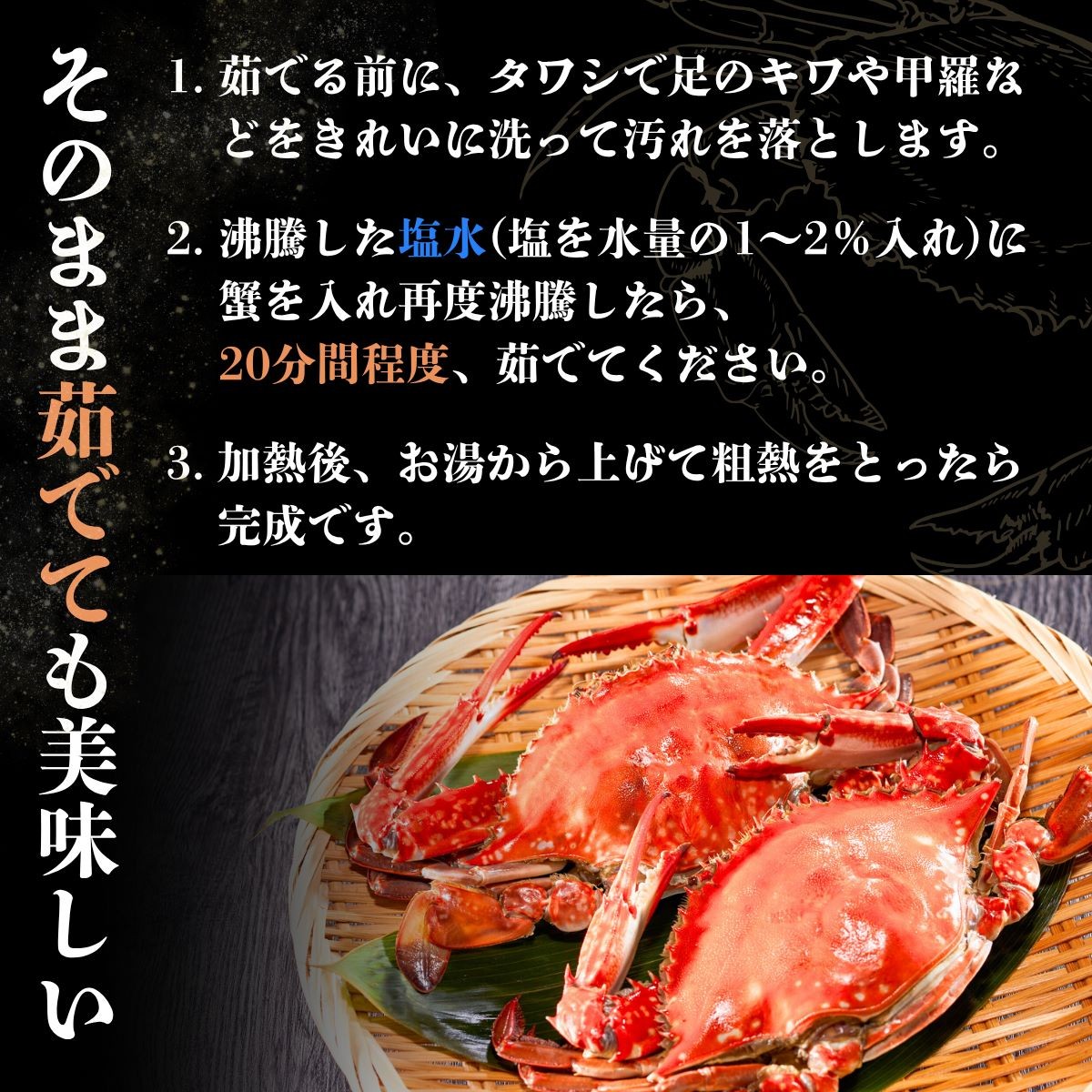 写真