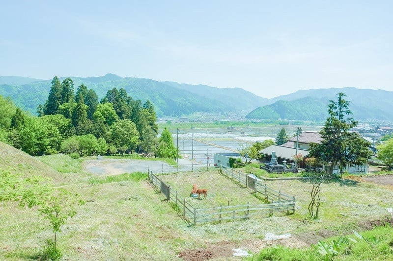 写真