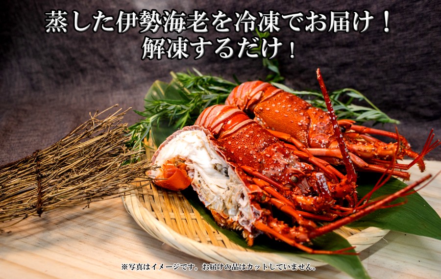 新鮮な伊勢海老ボイルはを冷凍でお届けします