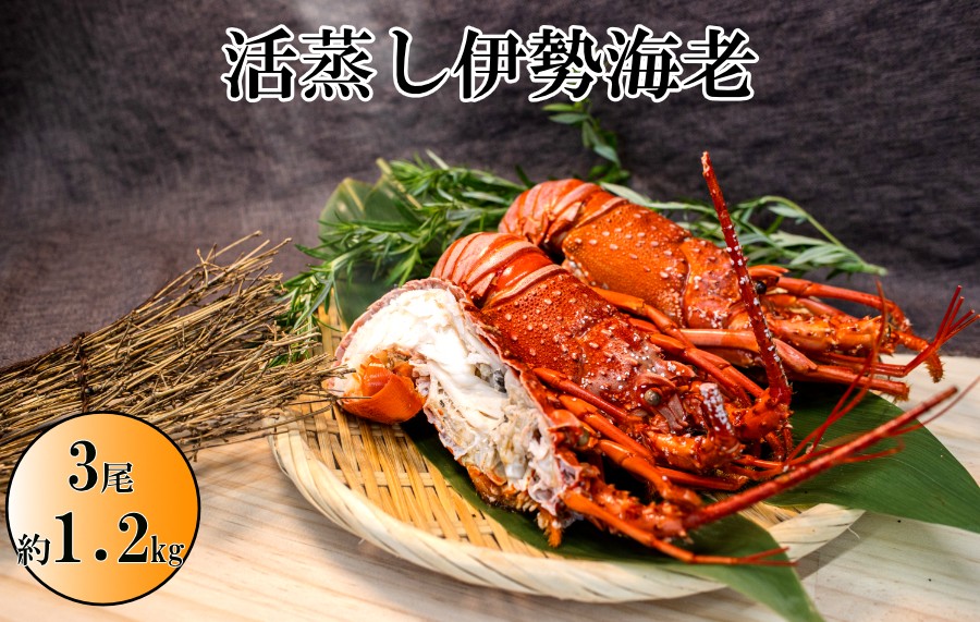 伊勢志摩産の伊勢海老