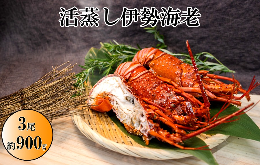 伊勢志摩産の伊勢海老