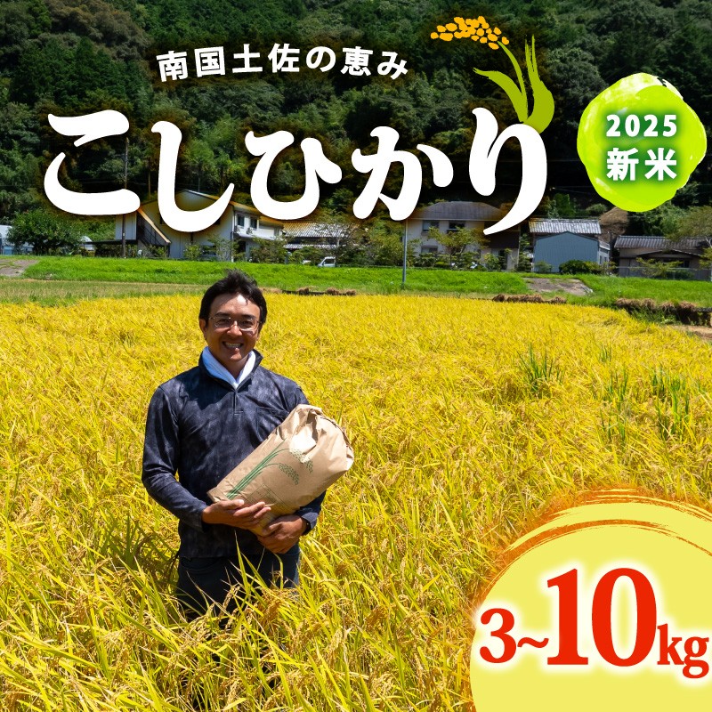 8月下旬から 発送 2025年 コシヒカリ 選べる 3Kg 5Kg 10Kg 新米