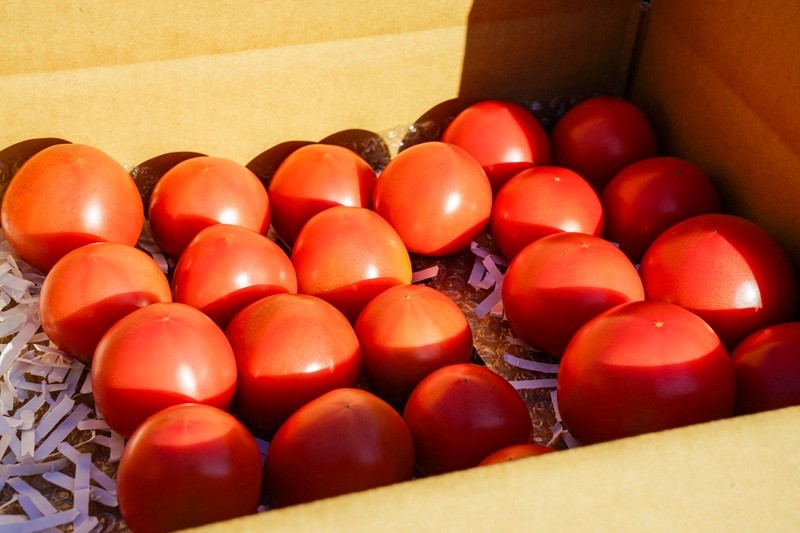 笑顔菜園の大玉トマトのみを使用しています