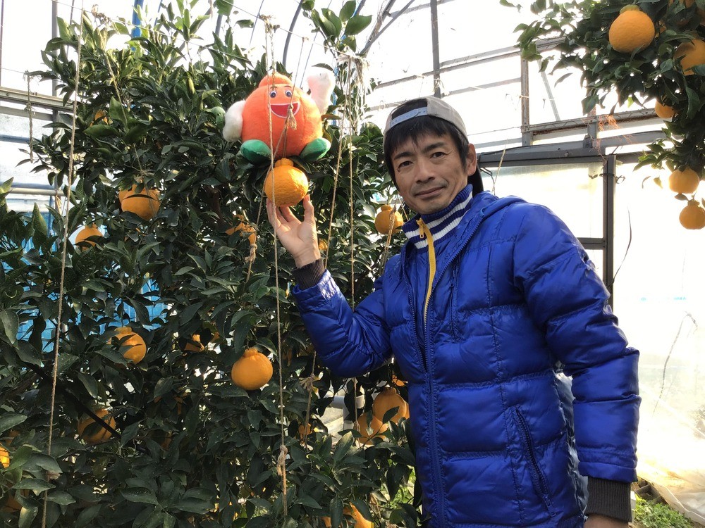 写真