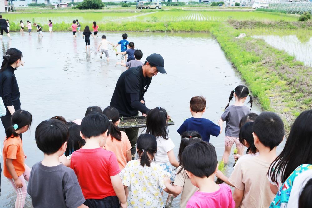 毎年、初夏の農園には近所の子供たちが田植え体験に訪れます。