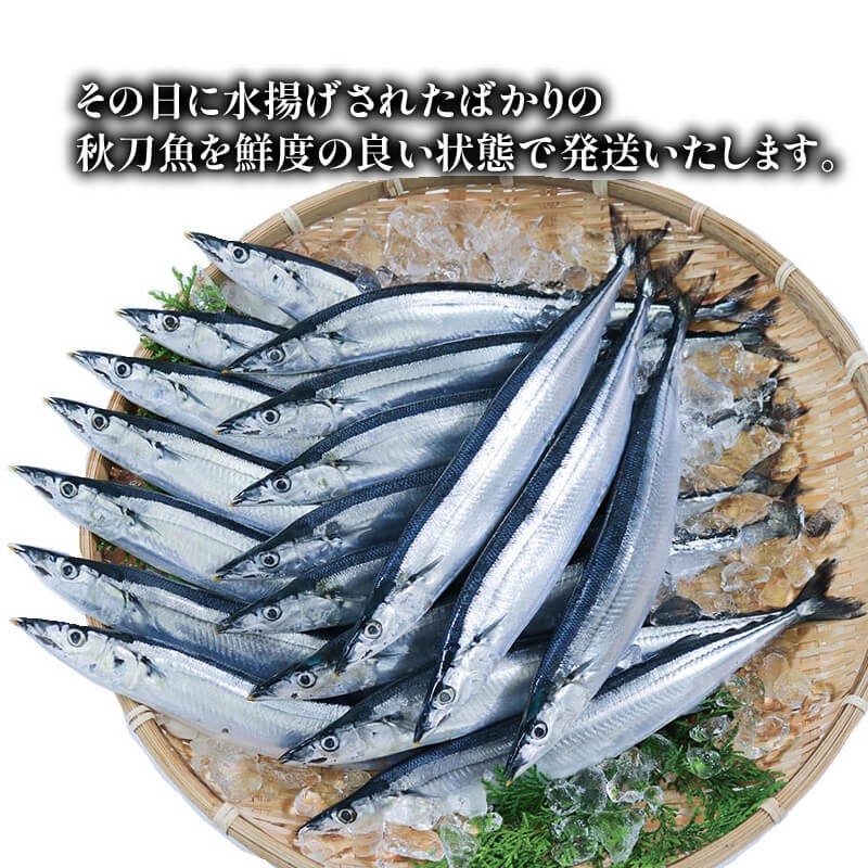※画像はイメージです。実際の本数とは異なります