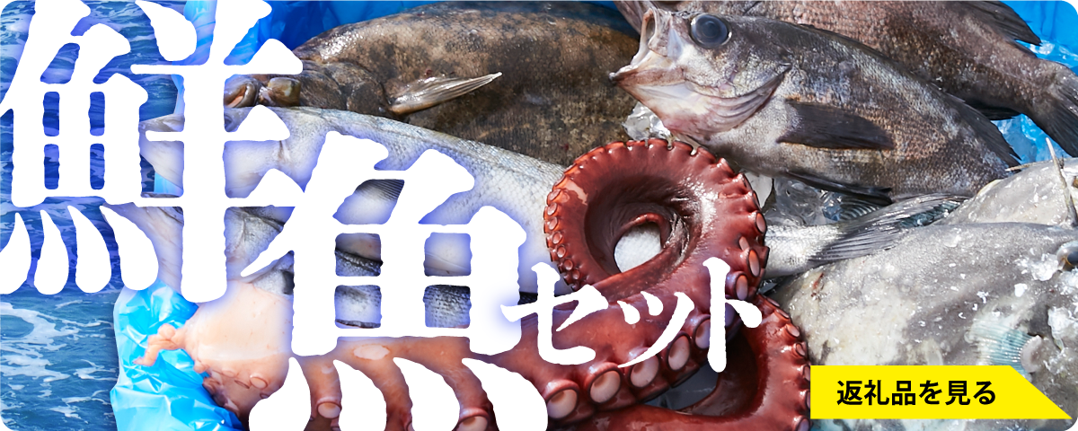 当日朝に水揚げされたばかりの魚介をお送りします