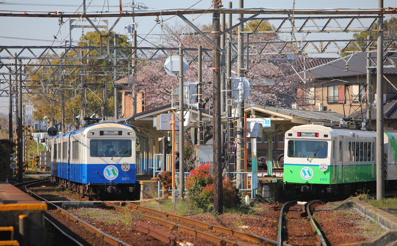 なろうブルー&なろうグリーン