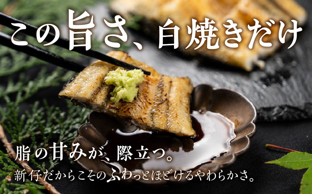 白焼きだからこそ味わえる、純粋な脂の旨味。