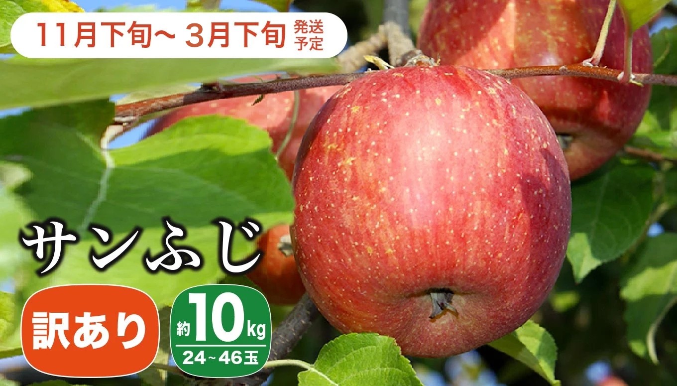 甘味と酸味のバランスが良く食べやすいりんご