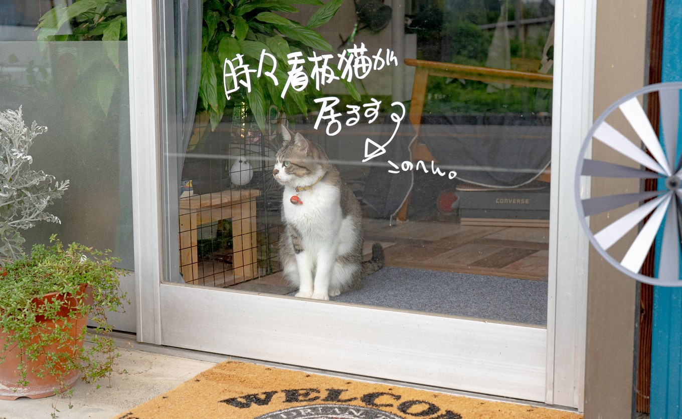 写真