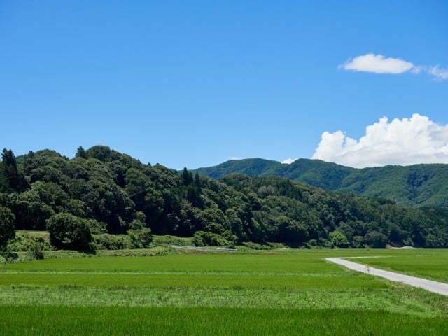 写真