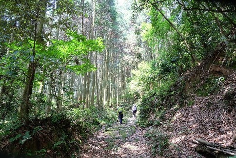 ①砥上岳