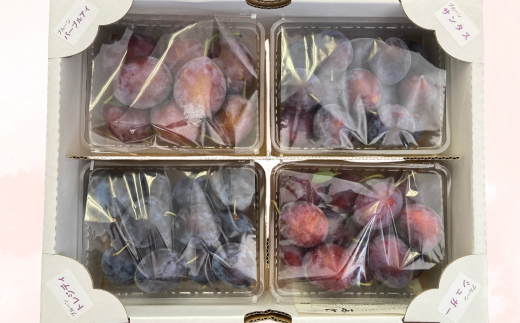 発送時期に収穫される中から園主オススメ品種でお届けします！