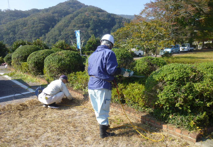 写真