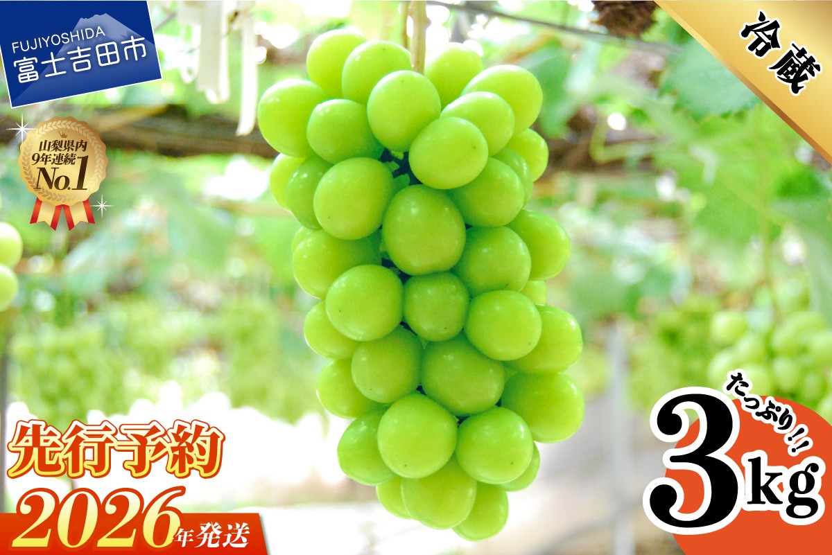 2026年発送 先行予約】山梨県産シャインマスカット3kg フルーツ