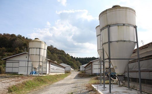 京丹波町にある農場「中央チキンファーム」