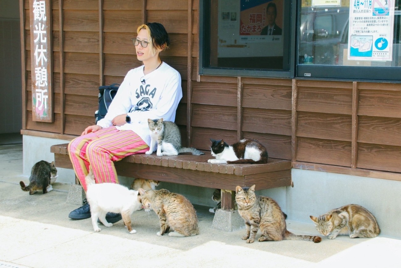 写真