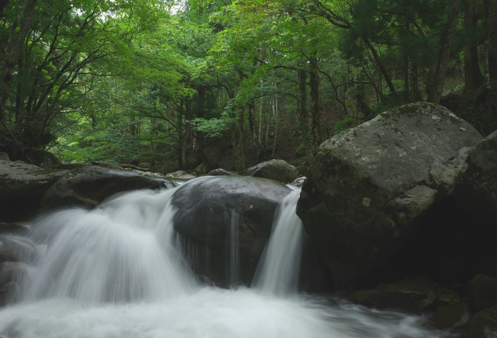 国定公園に指定されている芦津渓谷