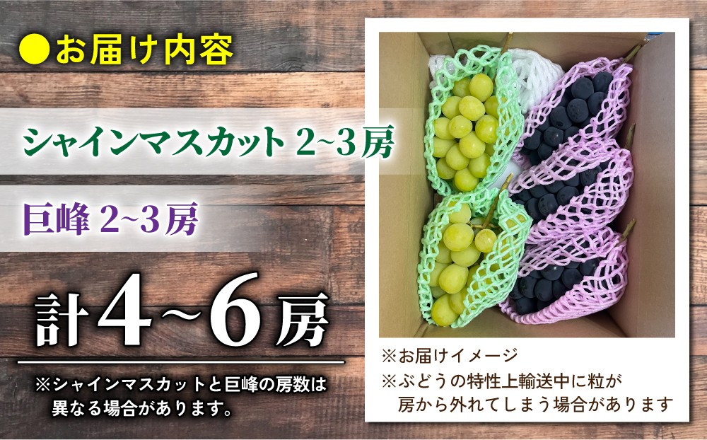 梱包方法は変更となる場合がございます。