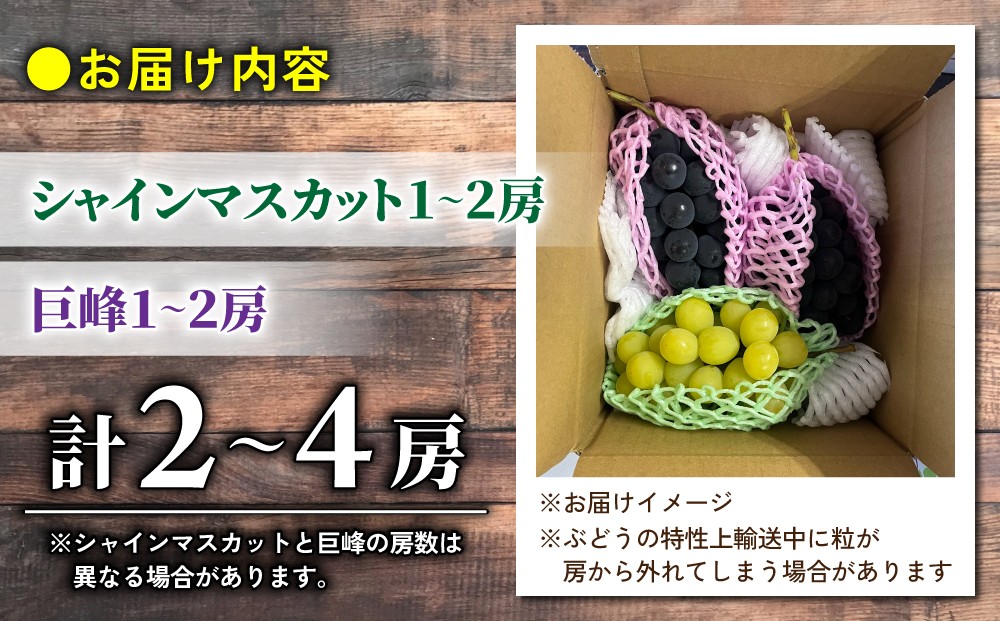 梱包方法は変更となる場合がございます。