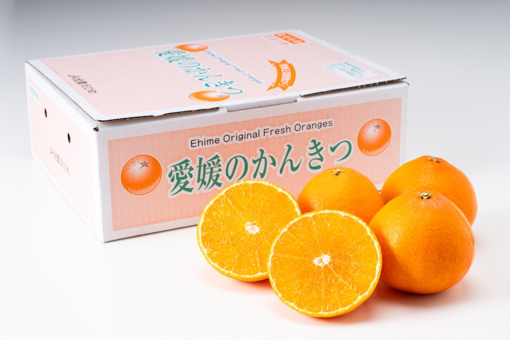 愛媛のブランドみかん「紅まどんな」