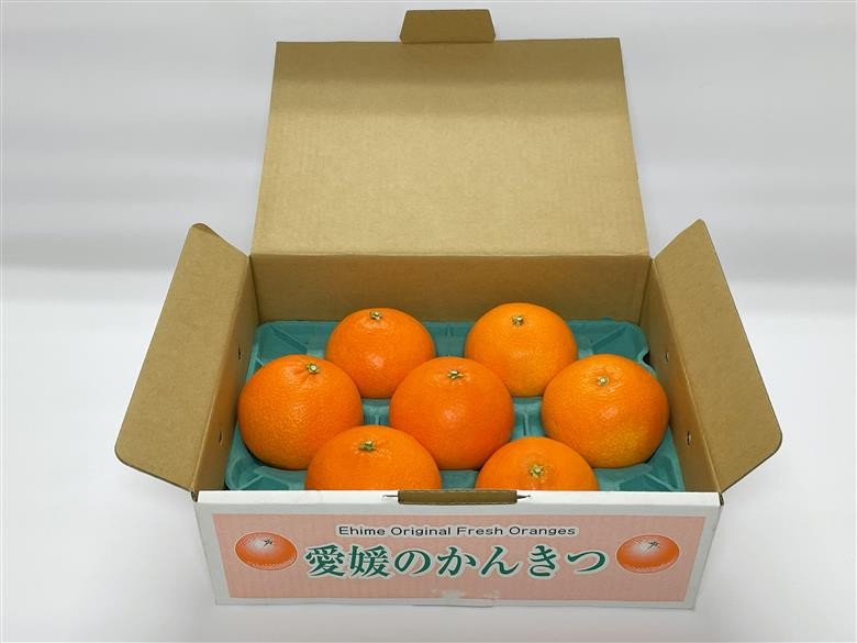 専用の化粧箱でお届け