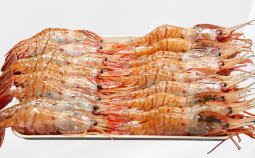 お刺身はもちろんの事!!塩焼きもオススメです。