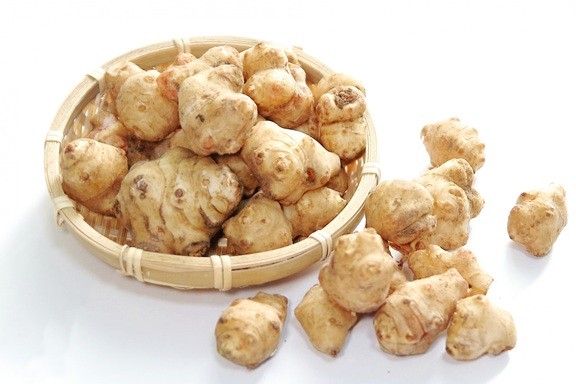 白色菊芋について