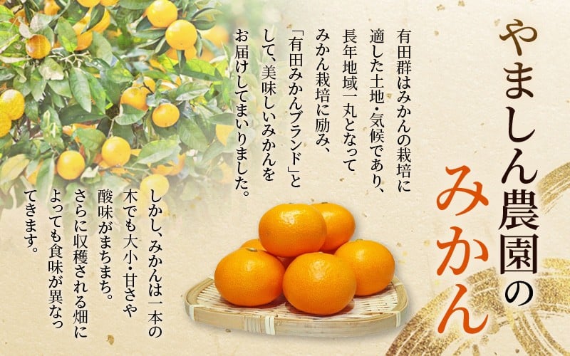 やましん農園のみかん