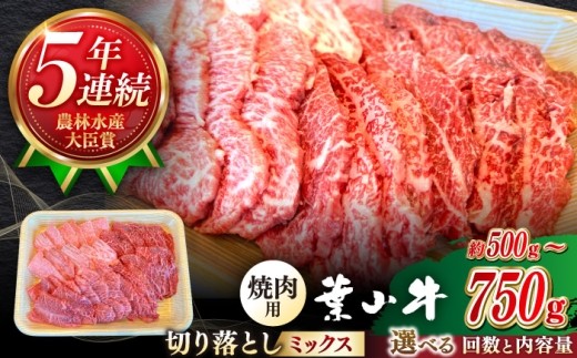 選べる回数・容量！葉山牛 焼肉用ミックス