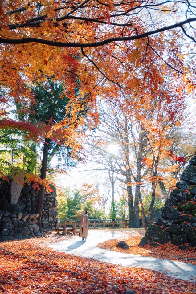 小諸城址懐古園の紅葉