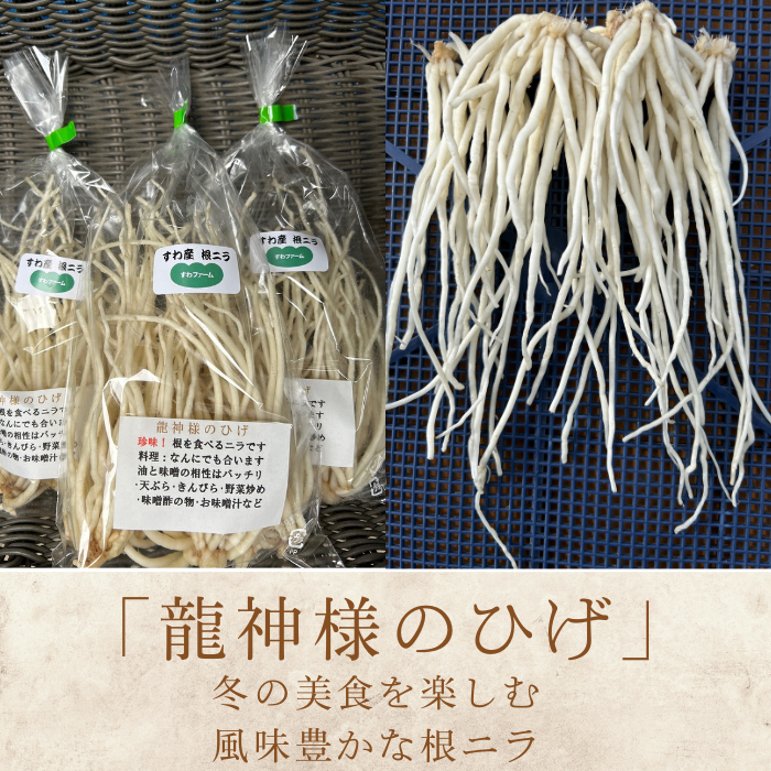 期間限定[2026年3月20日まで受付] 根ニラ[龍神様のひげ] 1,500g[100g