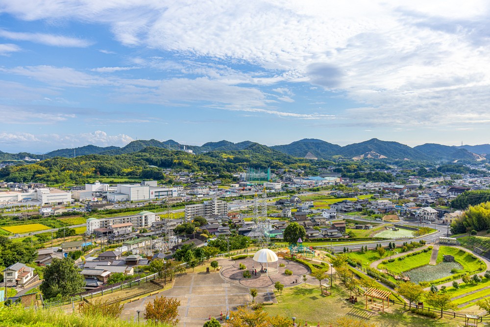 写真