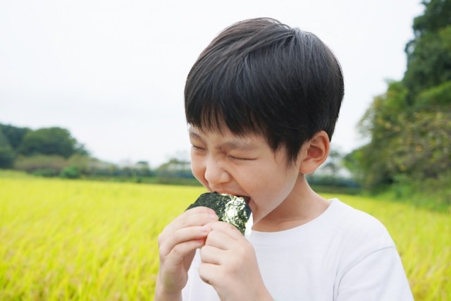 写真