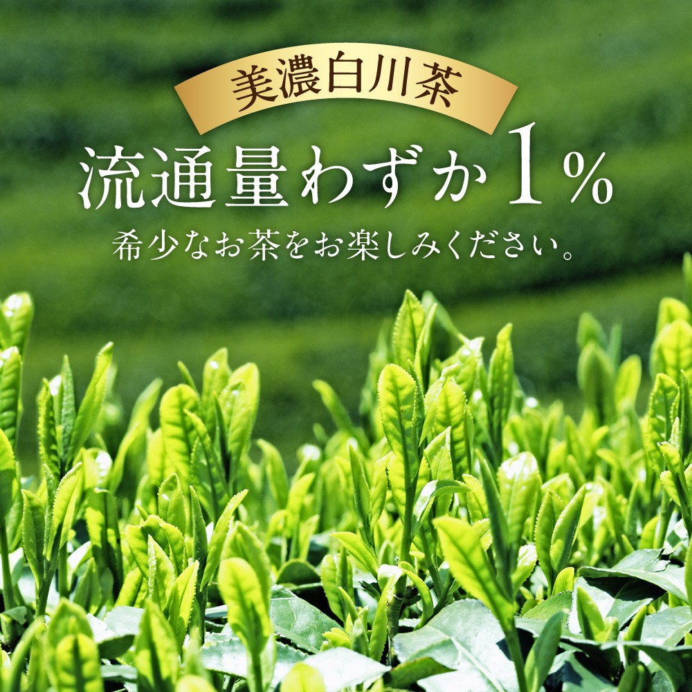 お茶 ペットボトル 緑茶 日本茶 煎茶 茶 人気 ペットボトル飲料