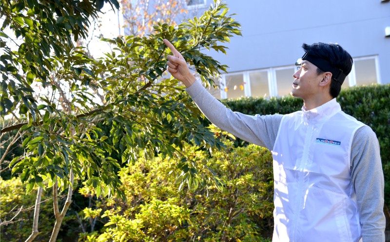 写真