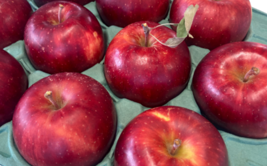 10月りんご（つがる）2kg5玉前後