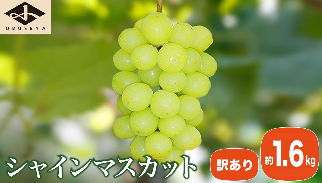 今話題のマスカット