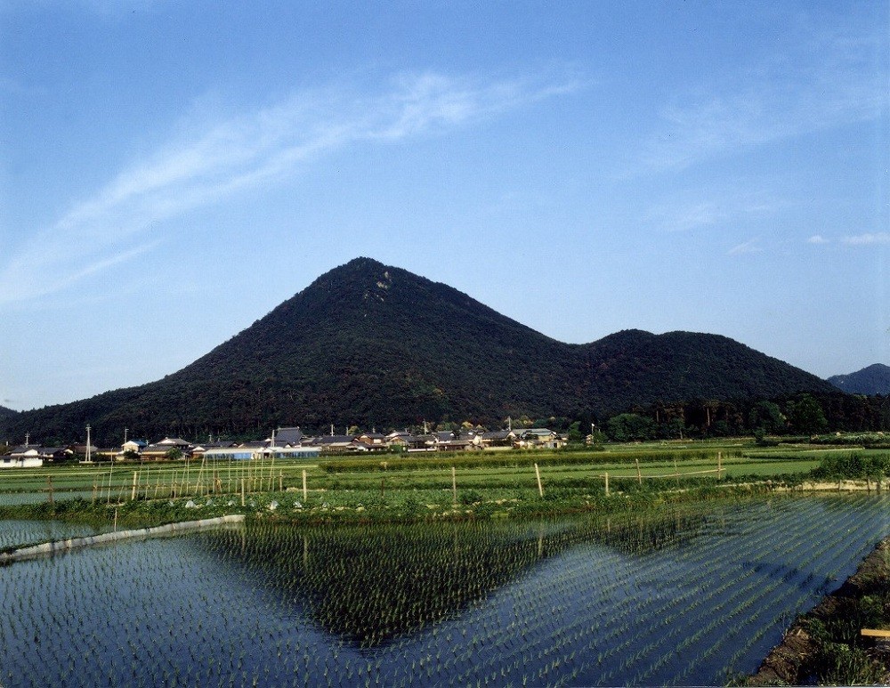 写真