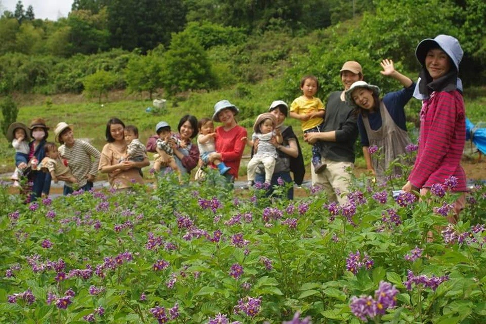 写真