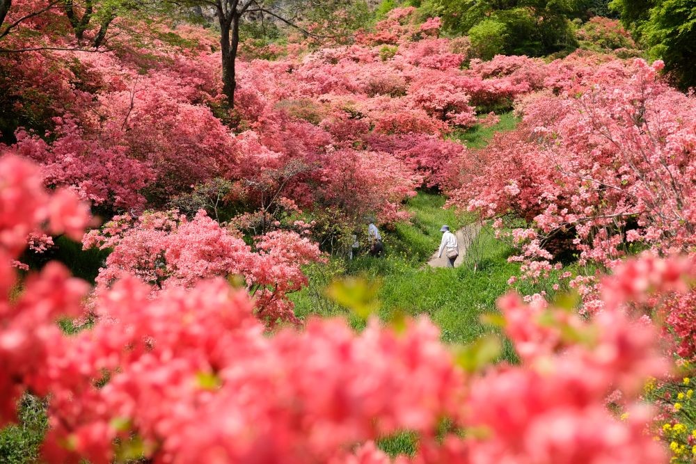 写真
