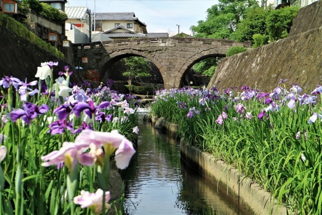 写真