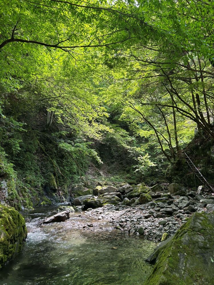 檜原村の風景