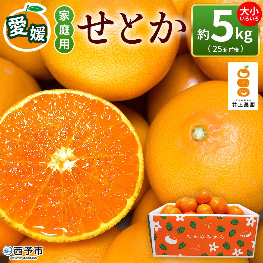 せとか(5kgx2箱)・特選 楽天市場】せとか 5kg 2.5kg 訳あり 家庭用 愛媛県 送料無料 産地箱