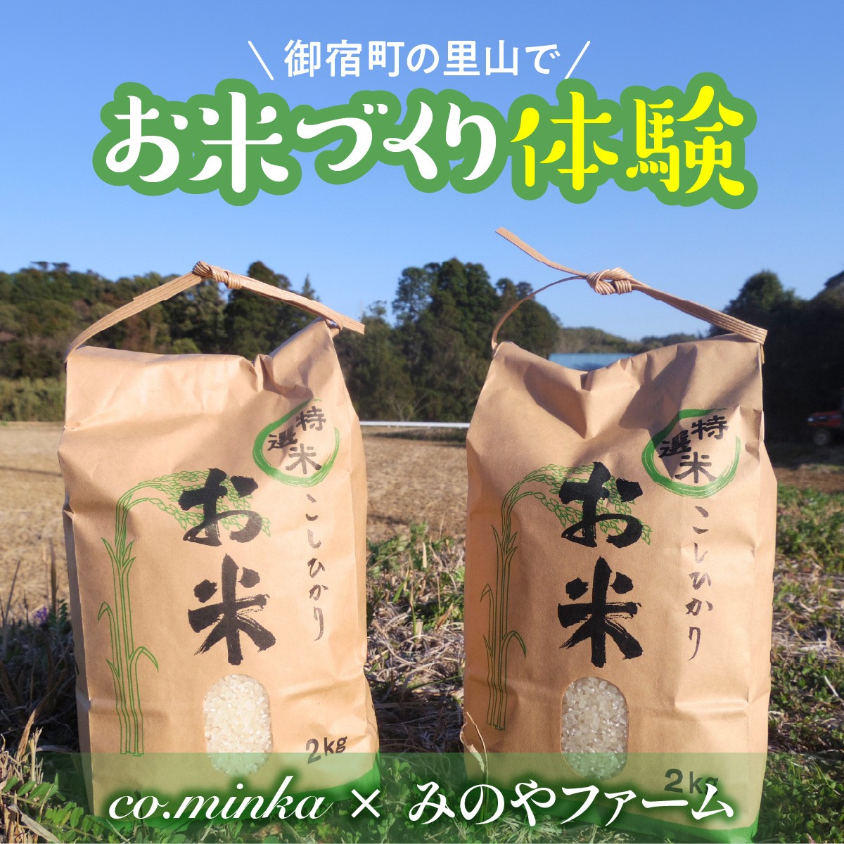 2026年度 田んぼ 区画オーナー制度（2区画）【企業・団体様向け～1
