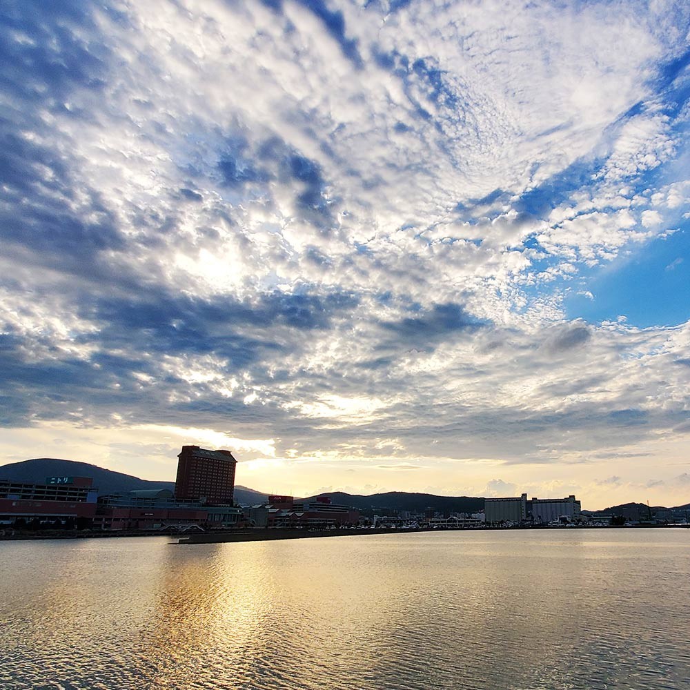 写真
