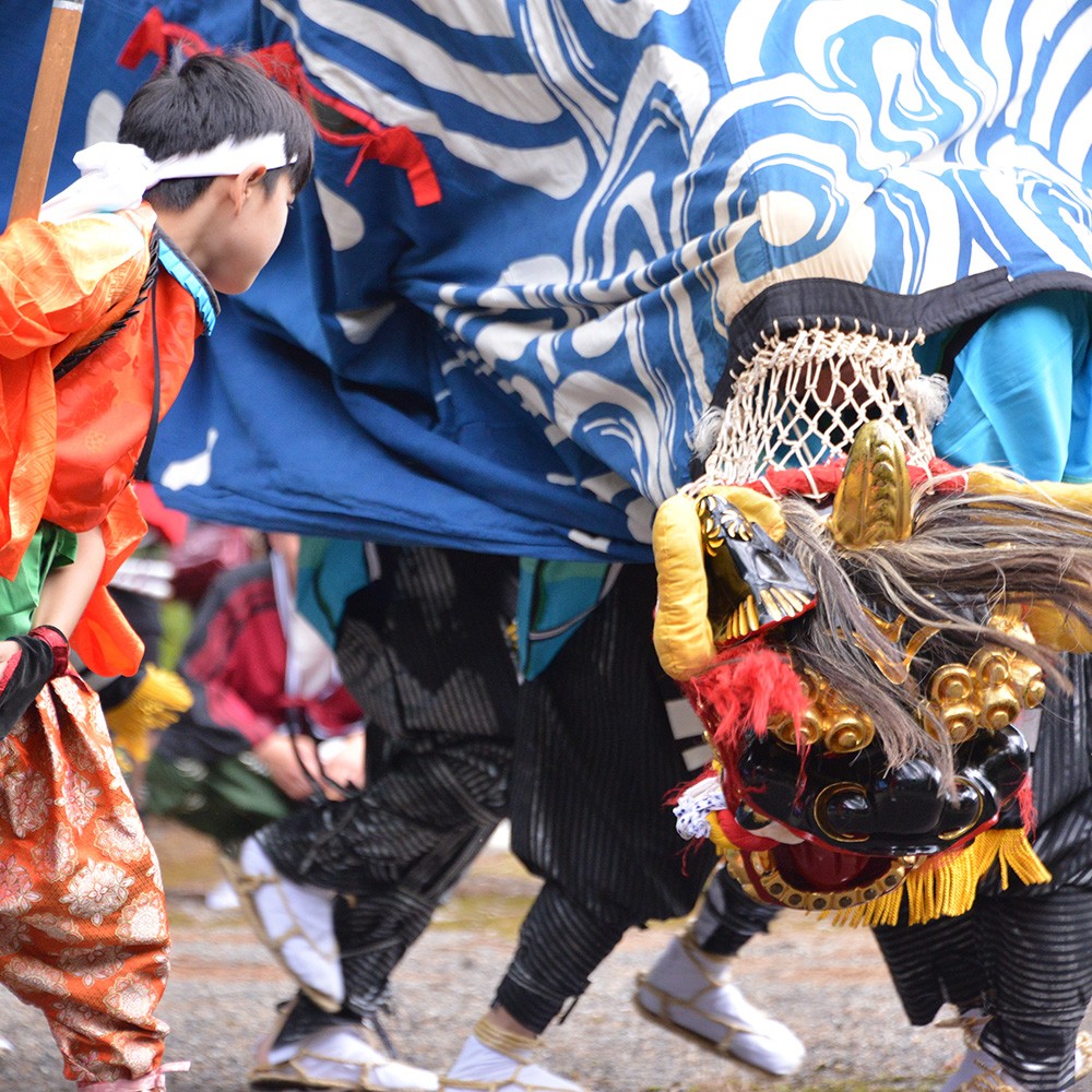 写真